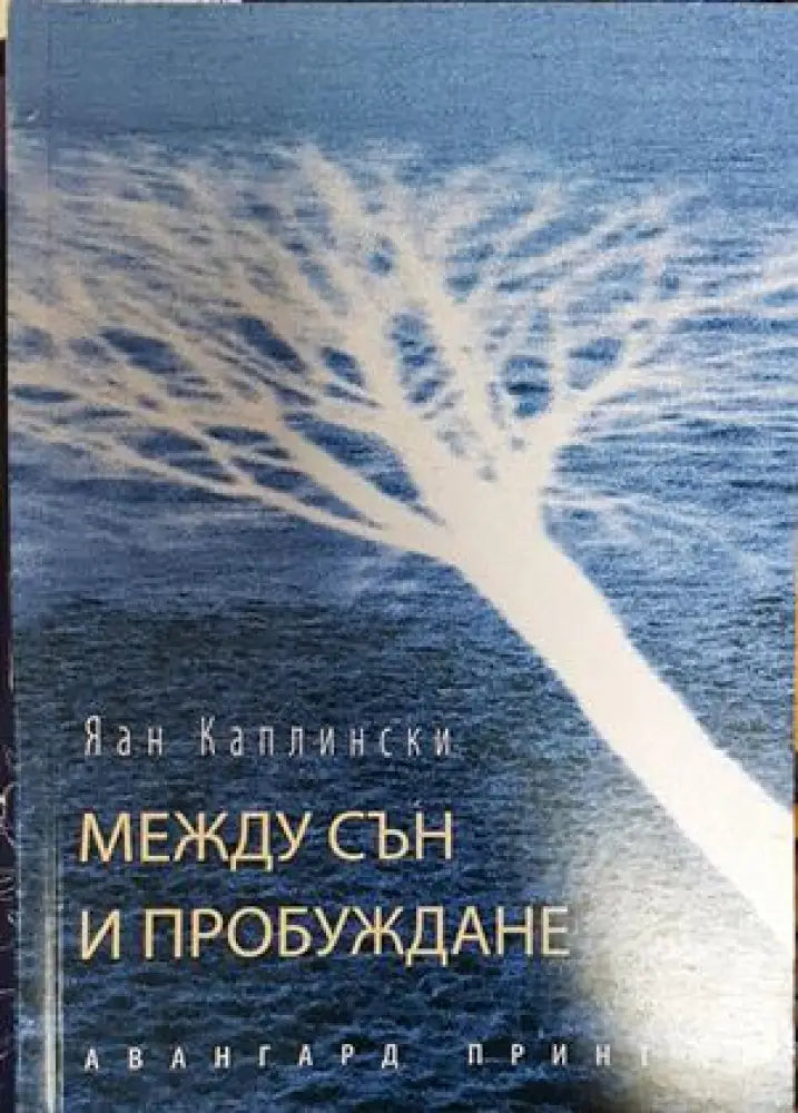 Между сън и пробуждане - Книги