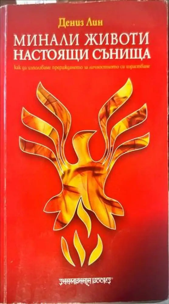 Минали животи настоящи сънища - Книги
