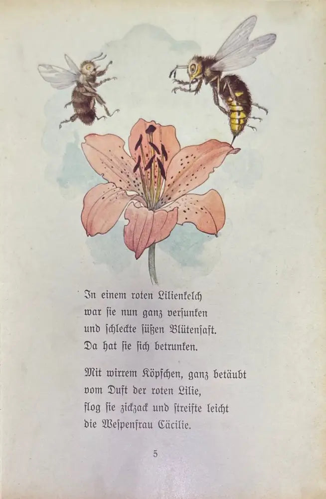Minchen und Jaromir - Книги