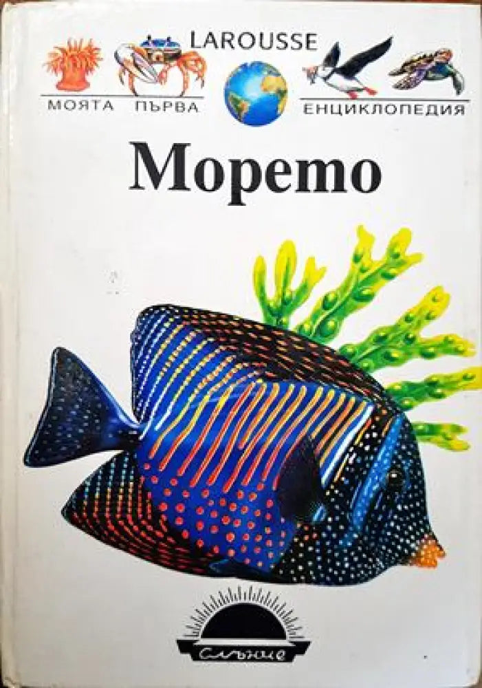 Морето - Книги