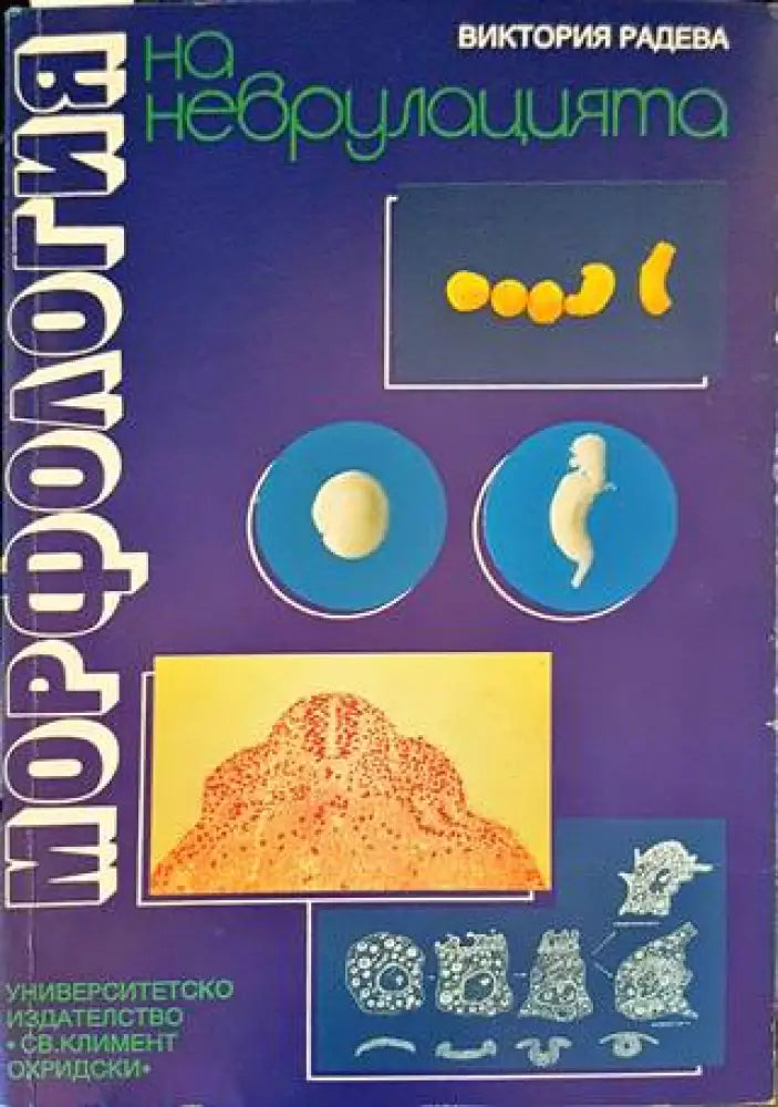 Морфология на неврулацията - Книги