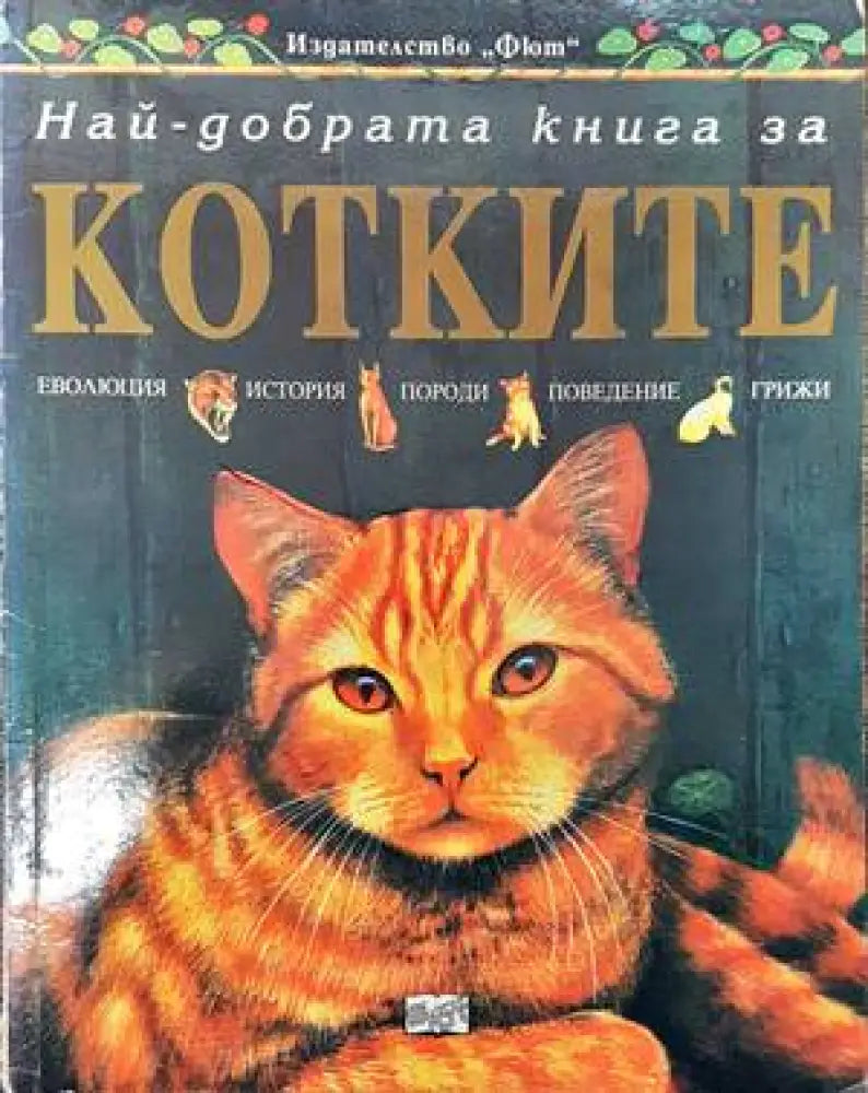 Най-добрата книга за котките - Книги