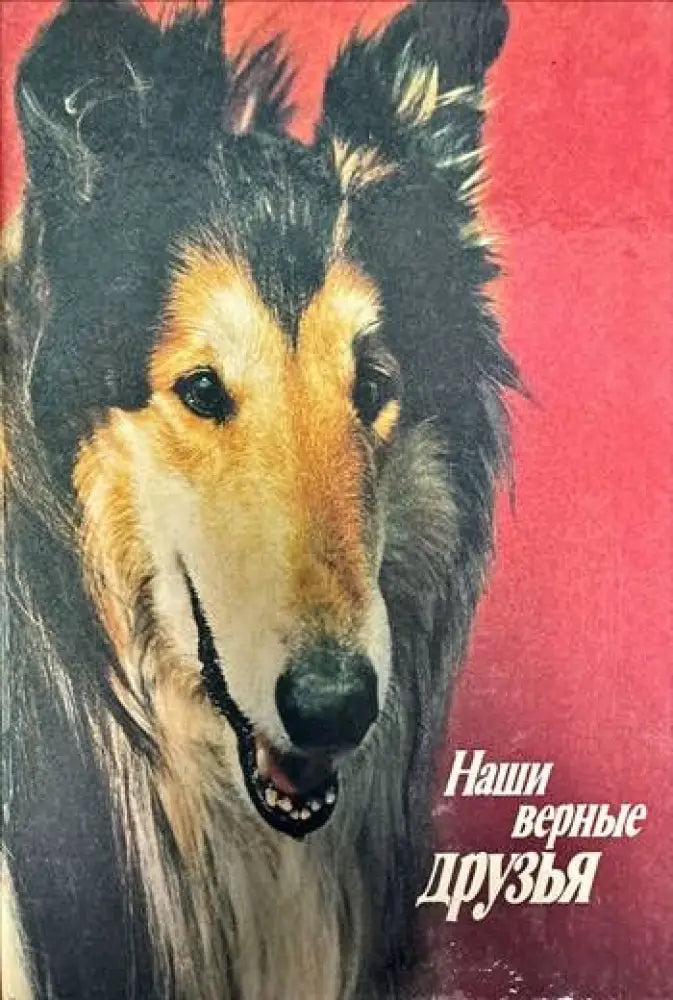 Наши верные друзья - Книги