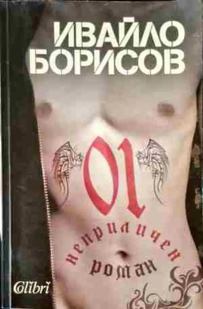 Неприличен роман - Книги