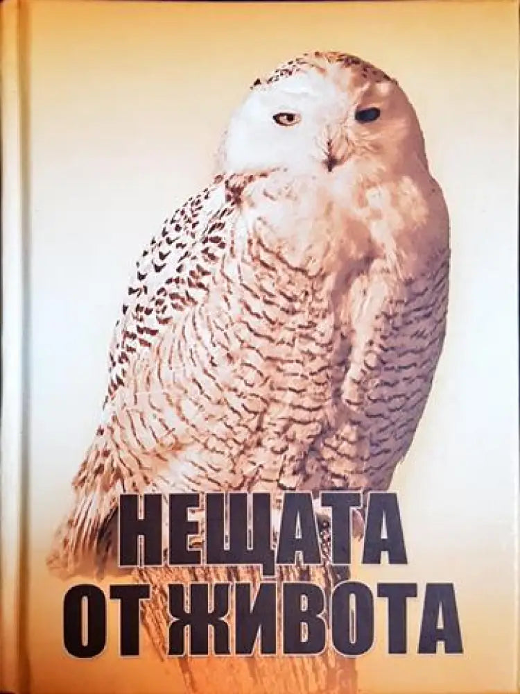 Нещата от живота (50) - Книга