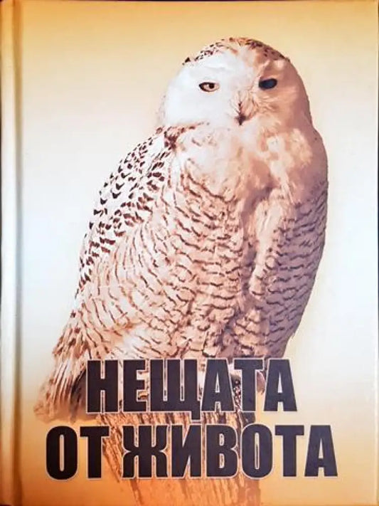 Нещата от живота (50) - Книга