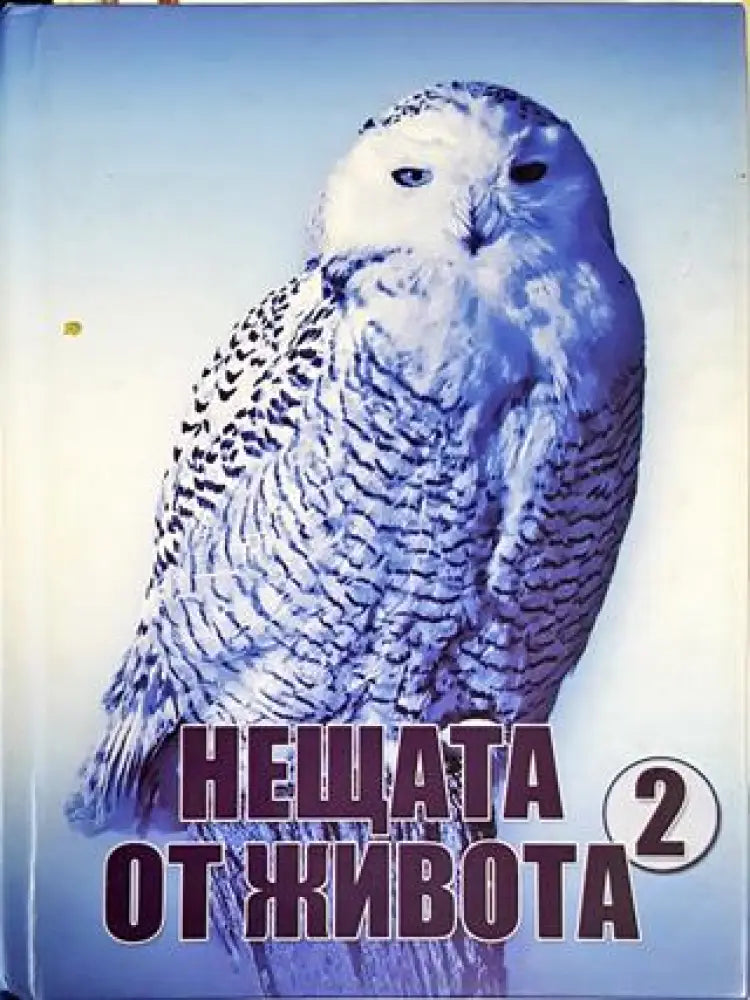 Нещата от живота. Книга 2 - Книги