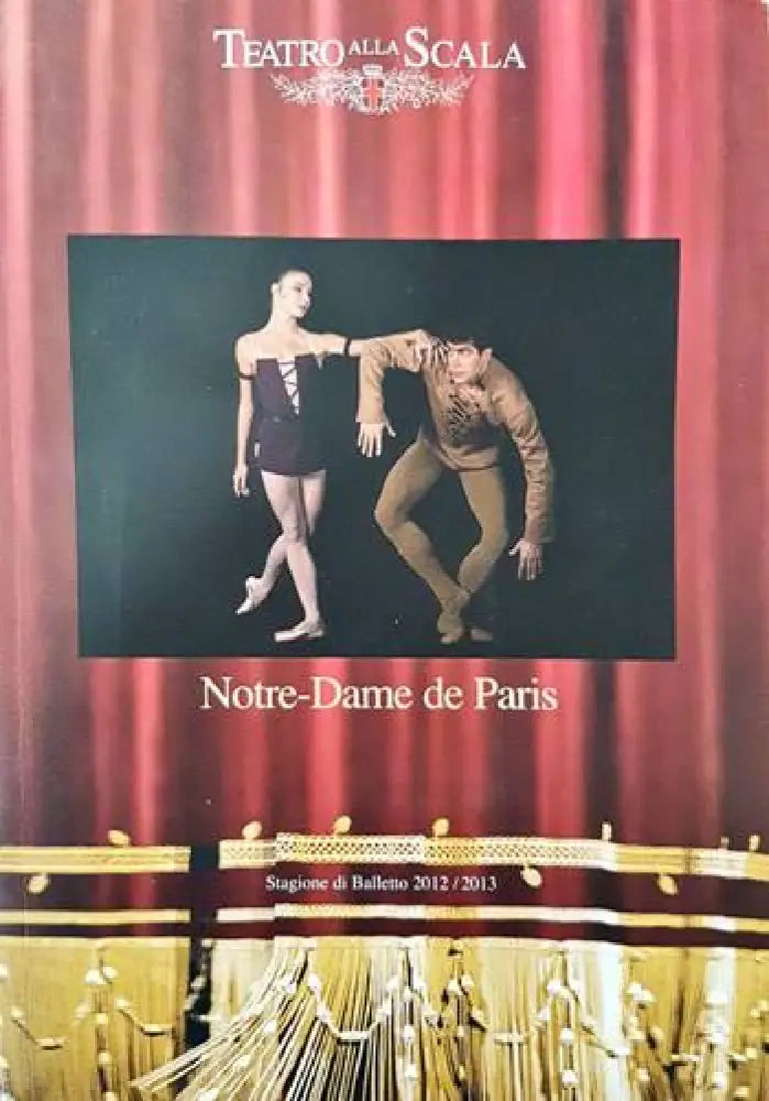 Notre-dame de Paris - Книги