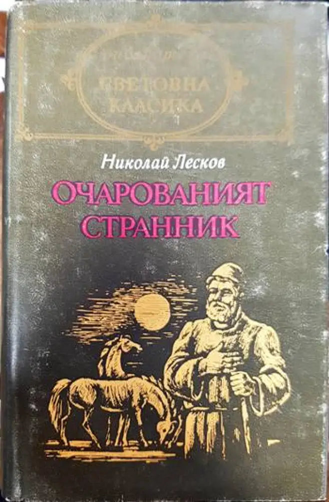 Очарованият странник - Книги