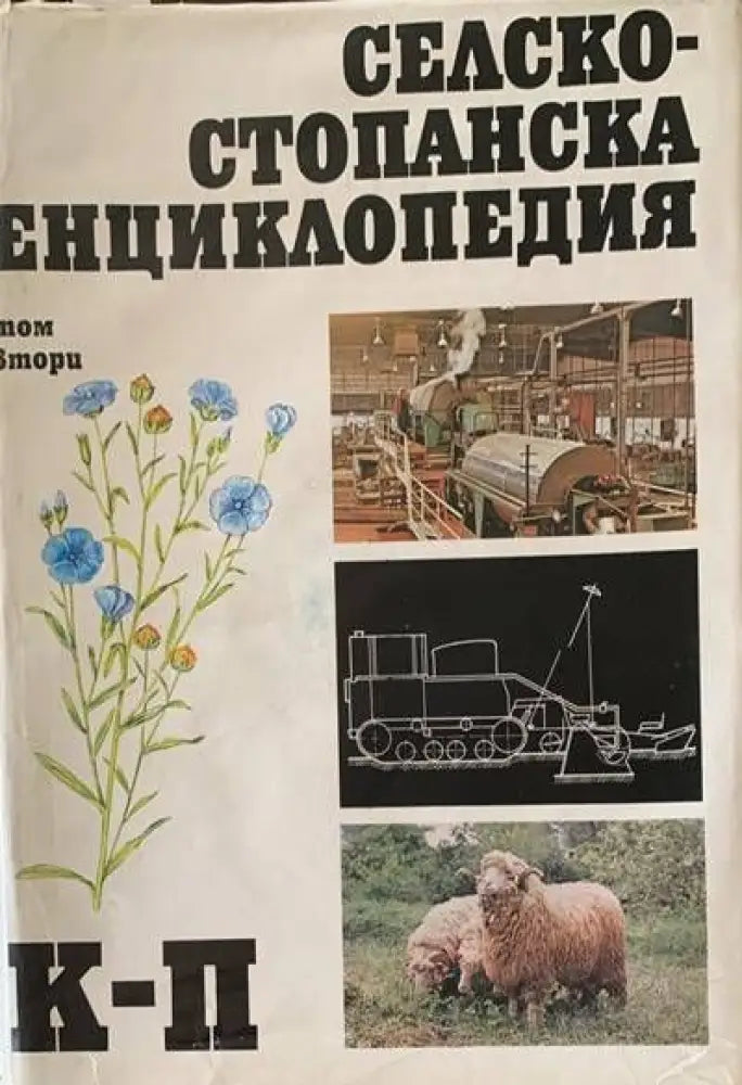 Од блузот до музичката авангарда - Книги
