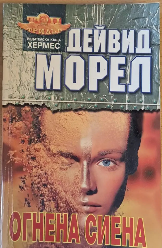 Огнена Сиена - Книга