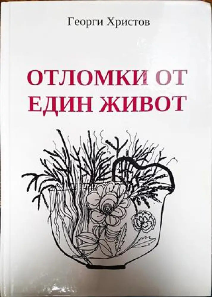 Отломки от един живот - Книги