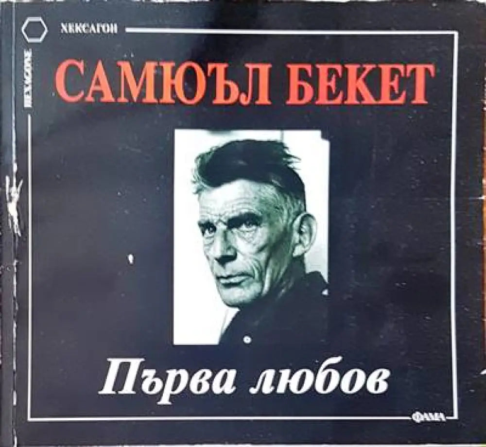 Първа любов - Книги