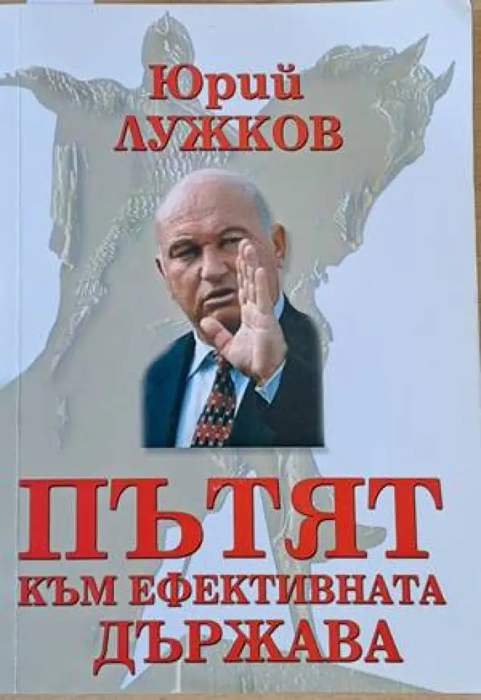 Пътят към ефективната държава - Книги