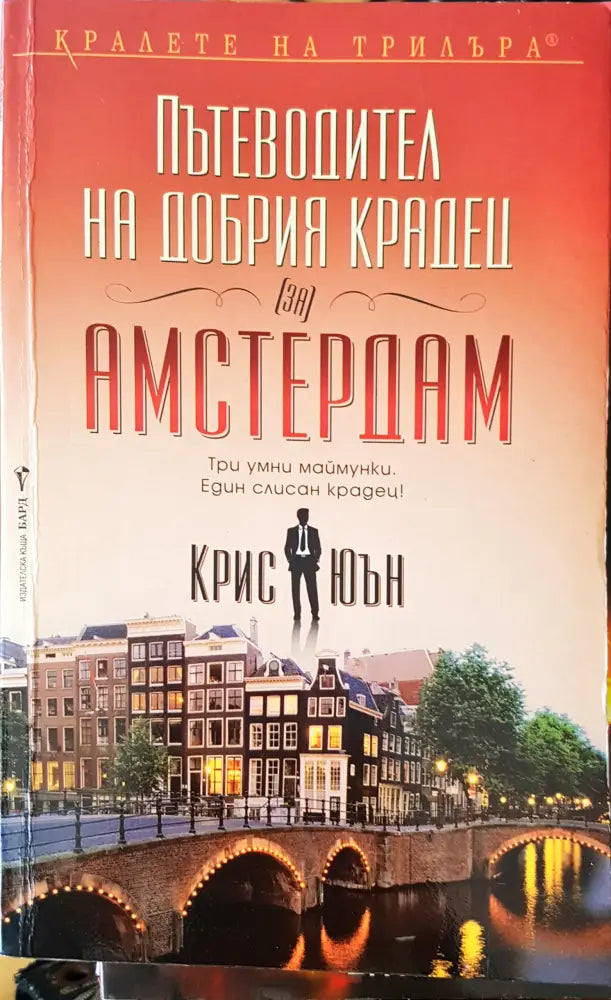 Пътеводител на самия крадец - Книги