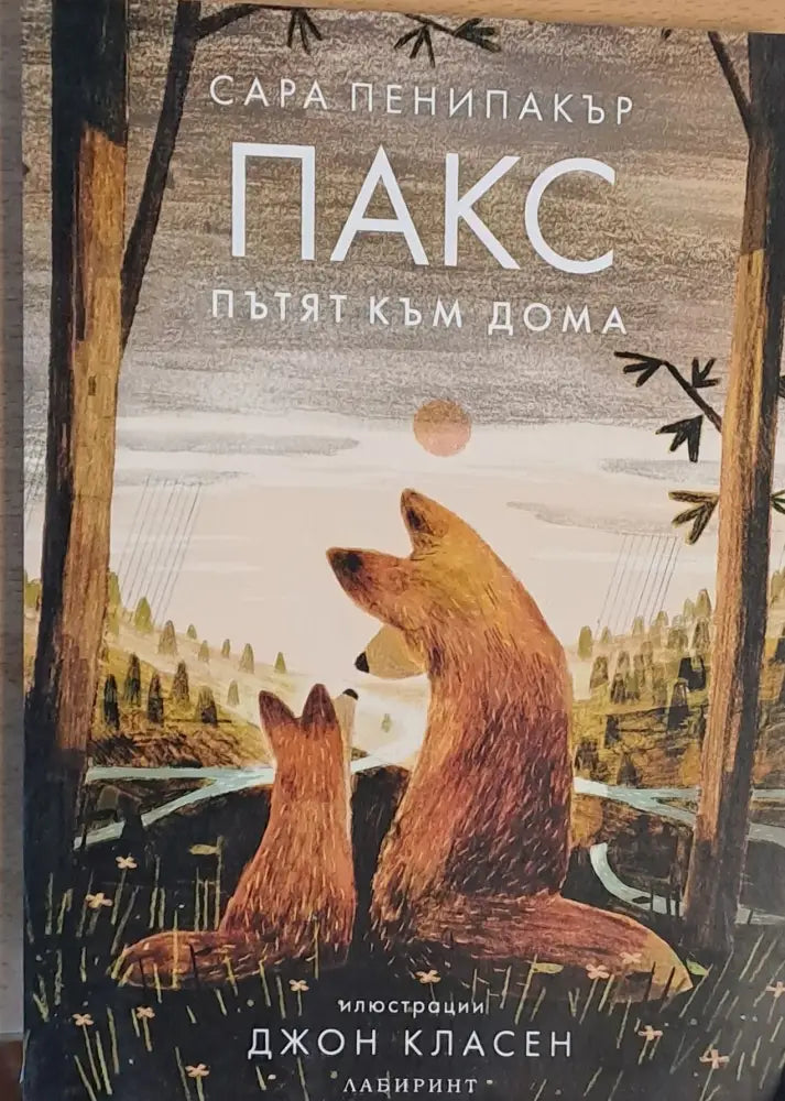 ПАКС Пътят към дома - Книги