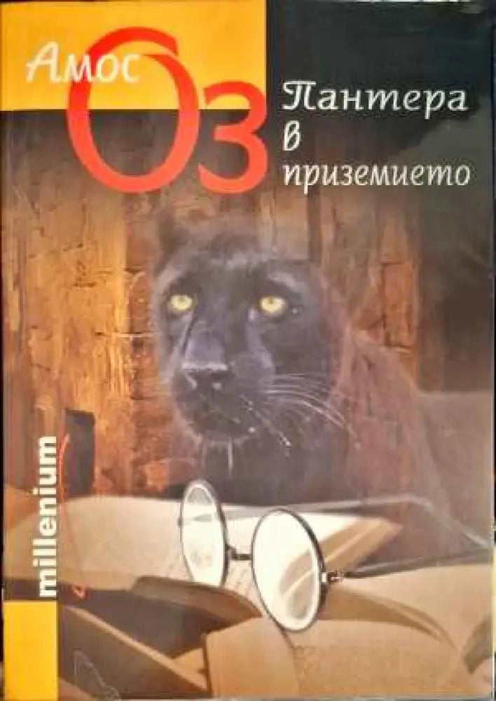 Пантера в приземието - Книги