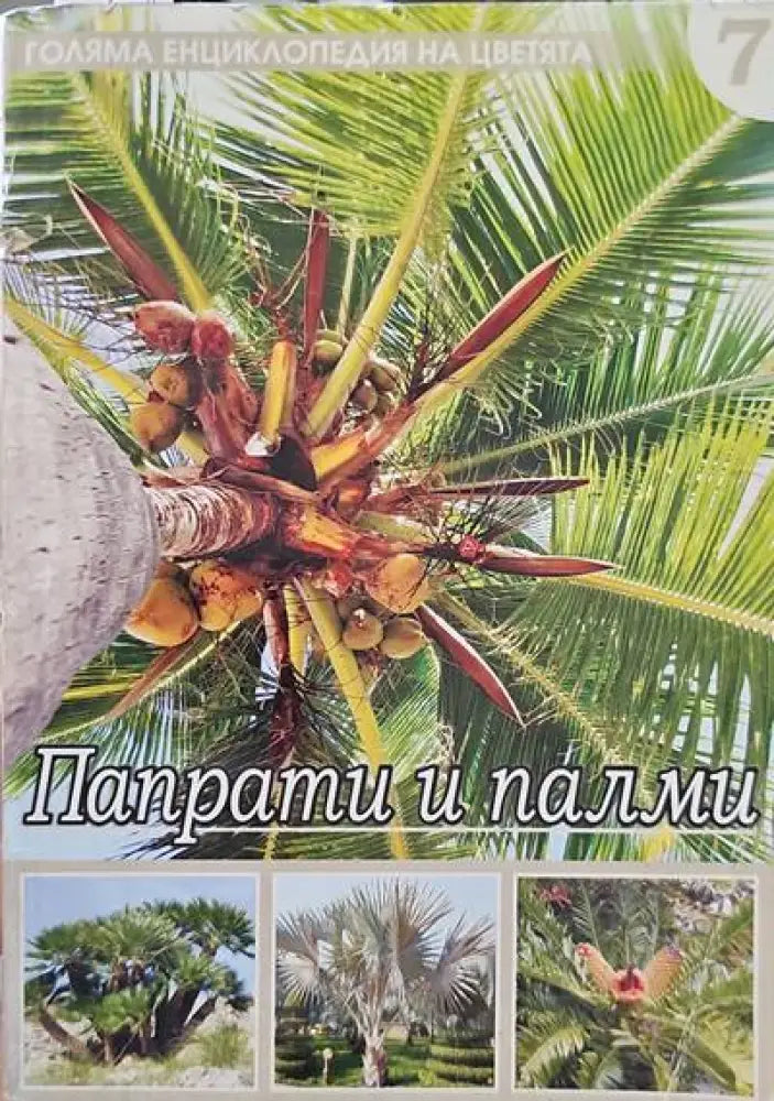 Папрати и палми - Книги