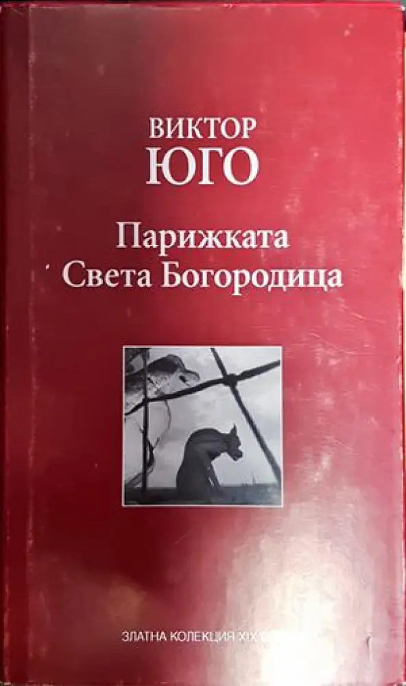 Парижката Света Богородица - Книга