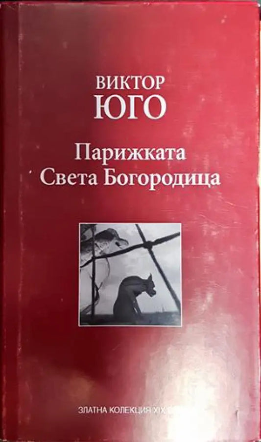 Парижката Света Богородица - Книга