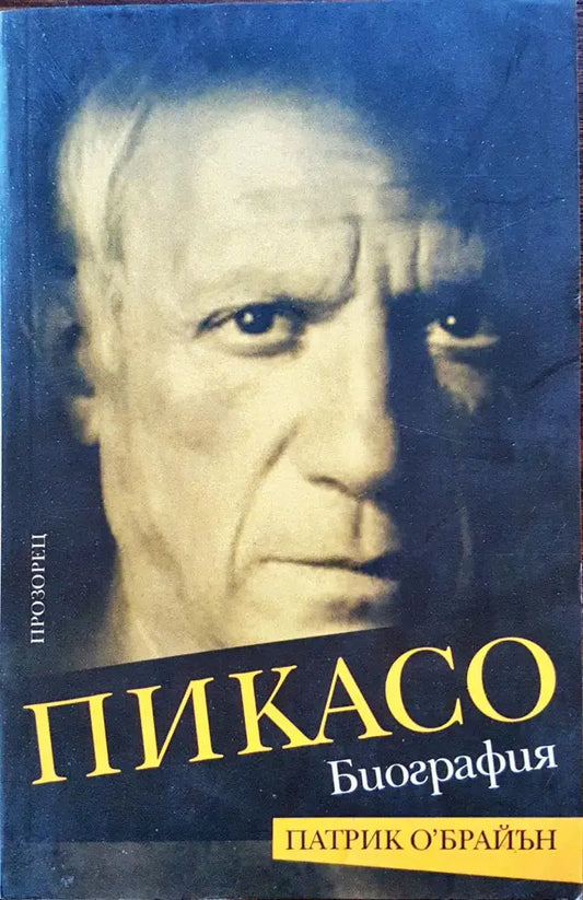 Пикасо (1) - Книга