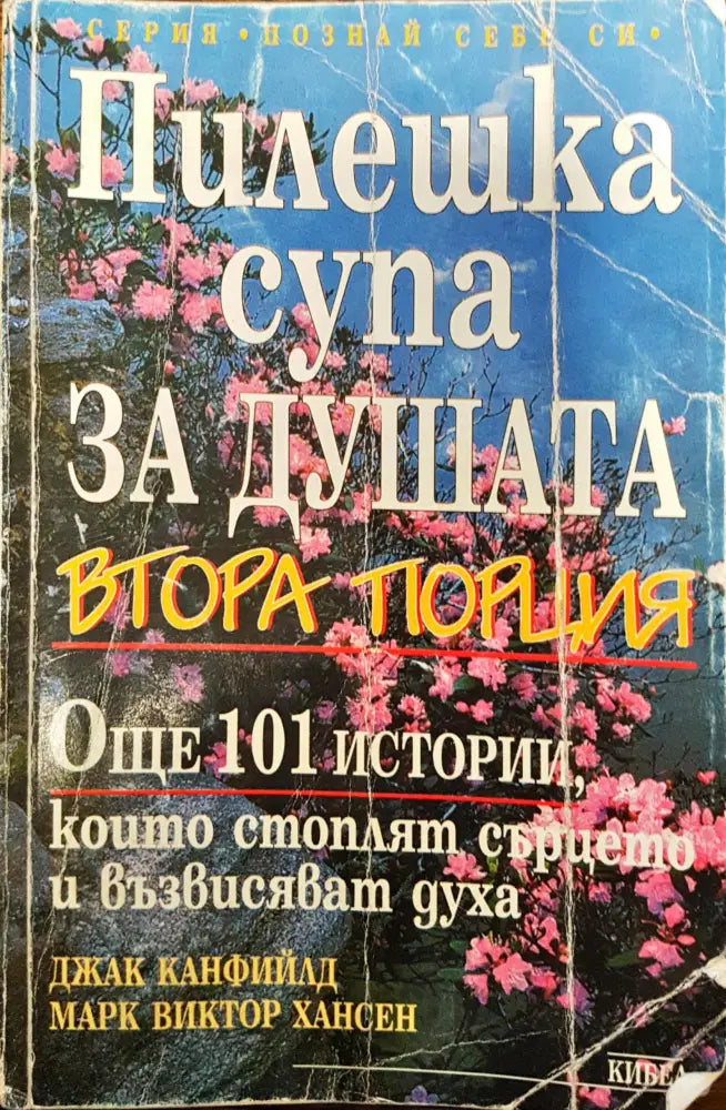 Пилешка супа за душата - Втора порция - Книги