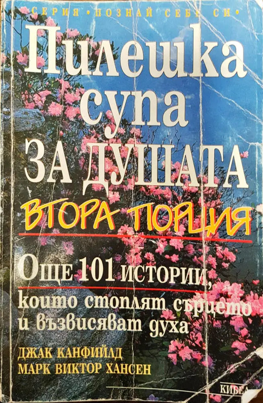 Пилешка супа за душата - Втора порция - Книги