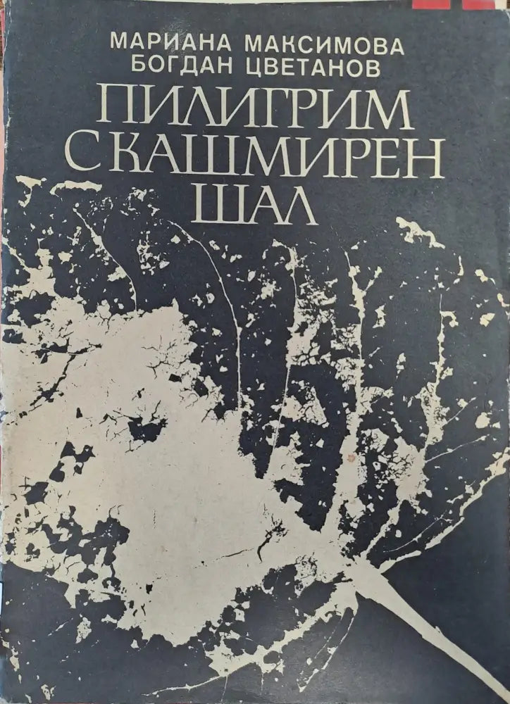 Пилигрим с кашмирен шал - Книги