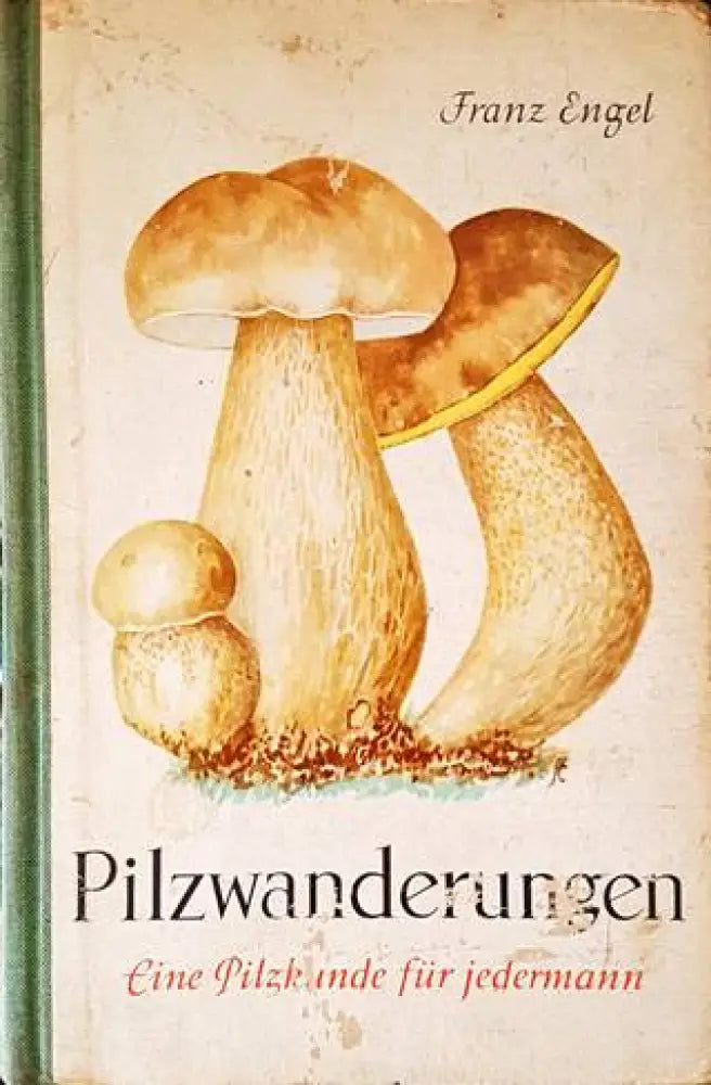 Pilze: Sicher bestimmt - Книги