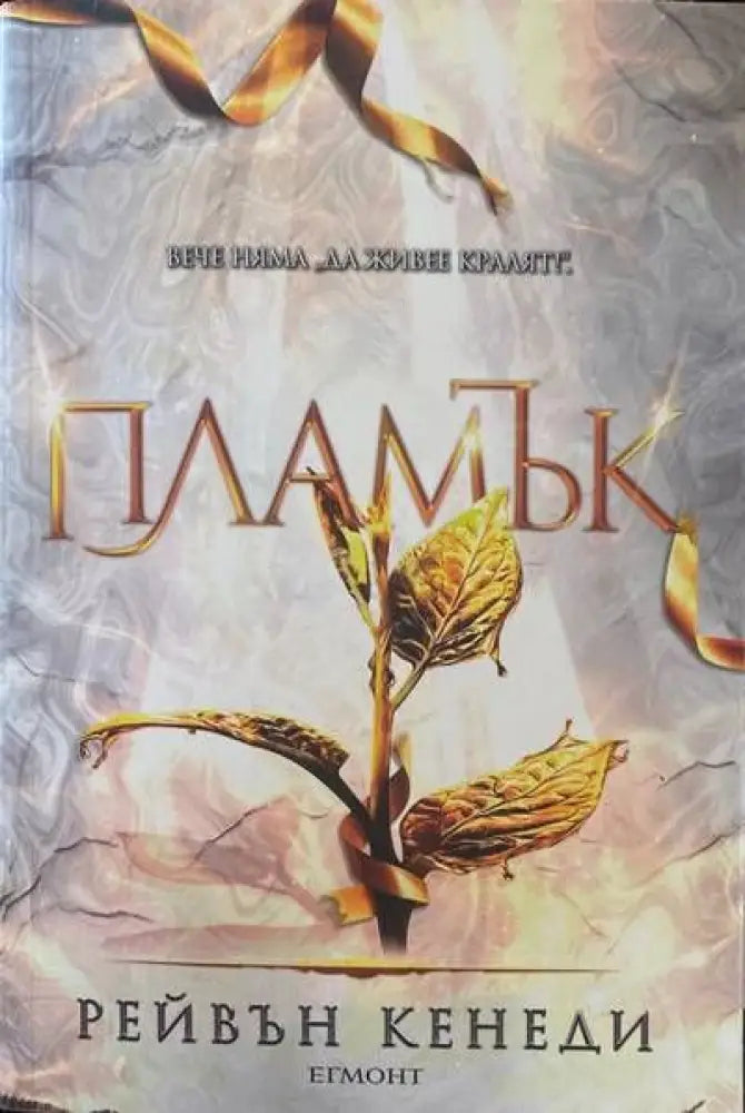 Пламък. Книга 4 - Книги