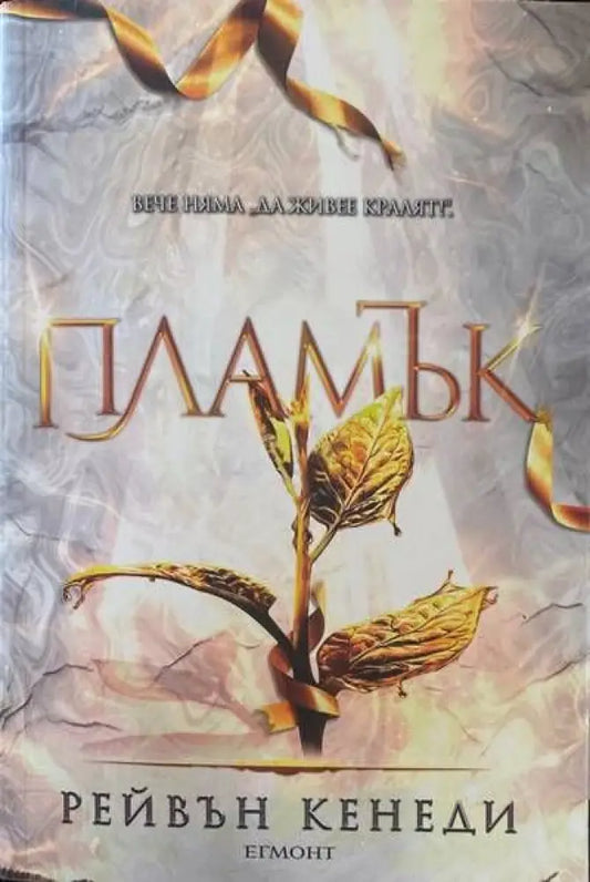 Пламък. Книга 4 - Книги