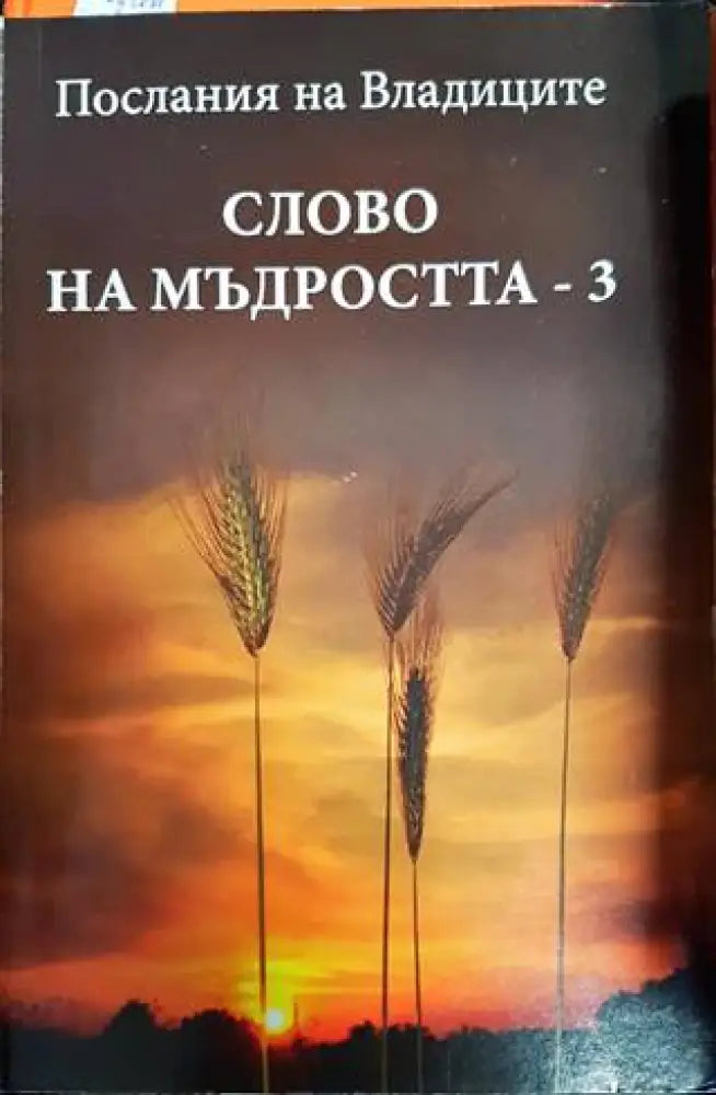 Послания на Владиците: Слово на мъдростта. Книга 3 - Книги