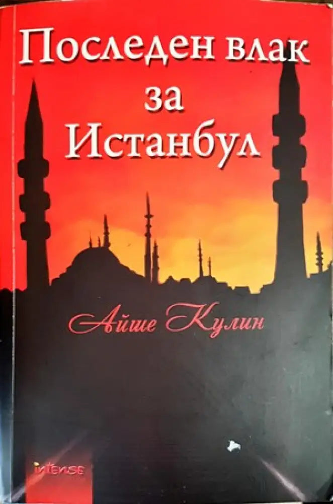Последен влак за Истанбул - Книги