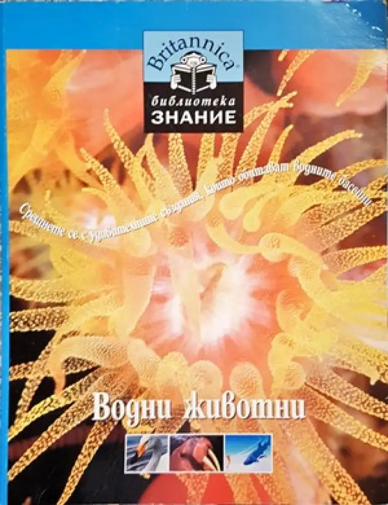Приказна съкровищница (733) - Книга