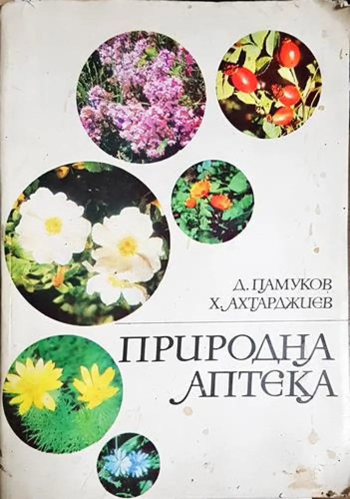 Природна аптека-ДП.ХА - Книга