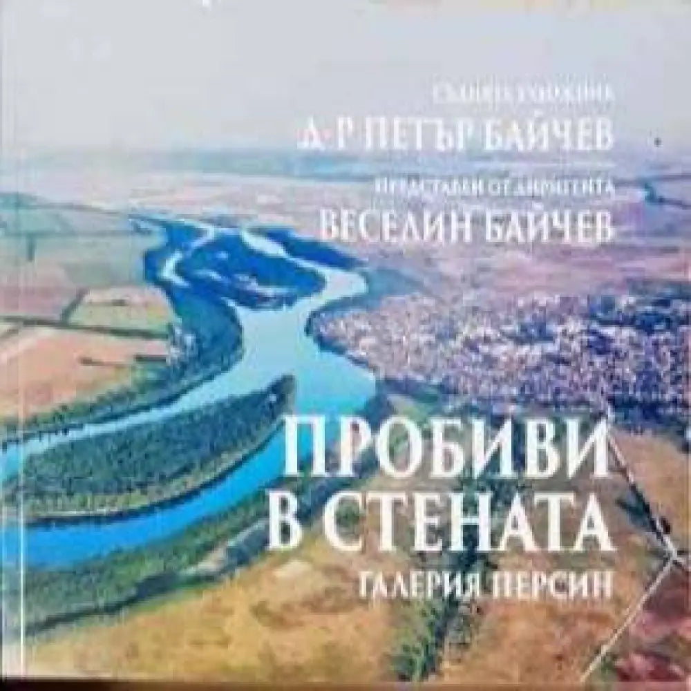 Пробиви в стената - Книга