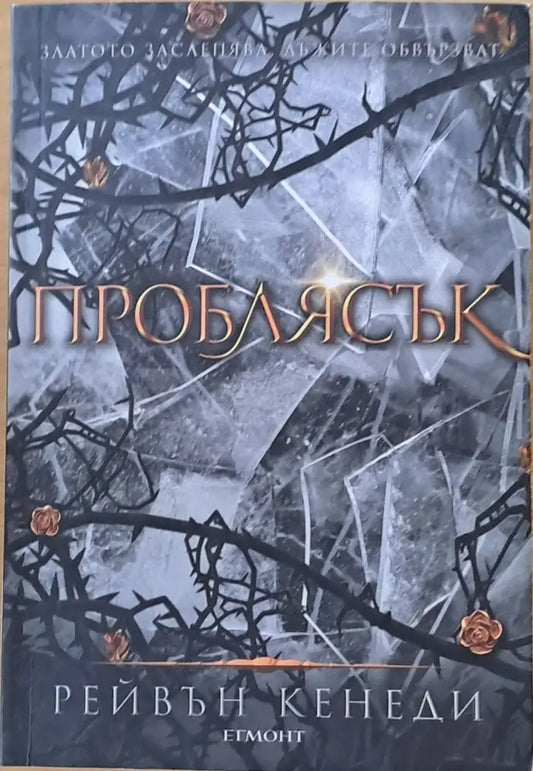 Проблясък - Книги