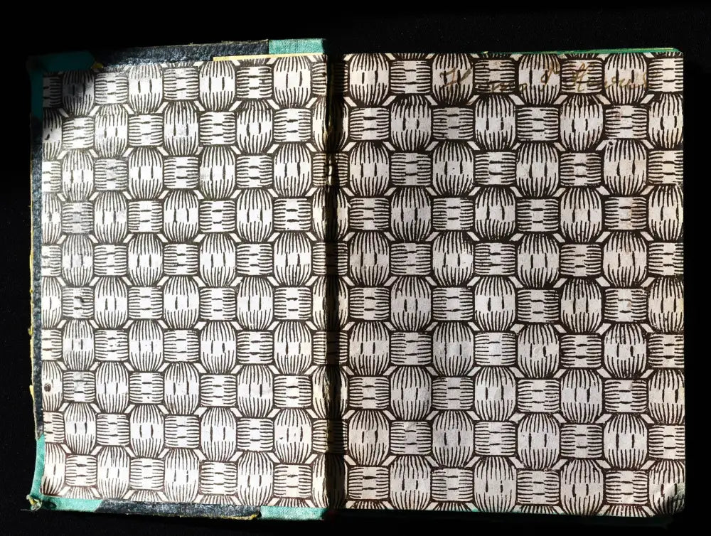 Проф. Стефан Младенов ’Речник на чуждите думи’ - Книги