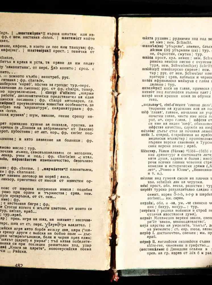Проф. Стефан Младенов ’Речник на чуждите думи’ - Книги