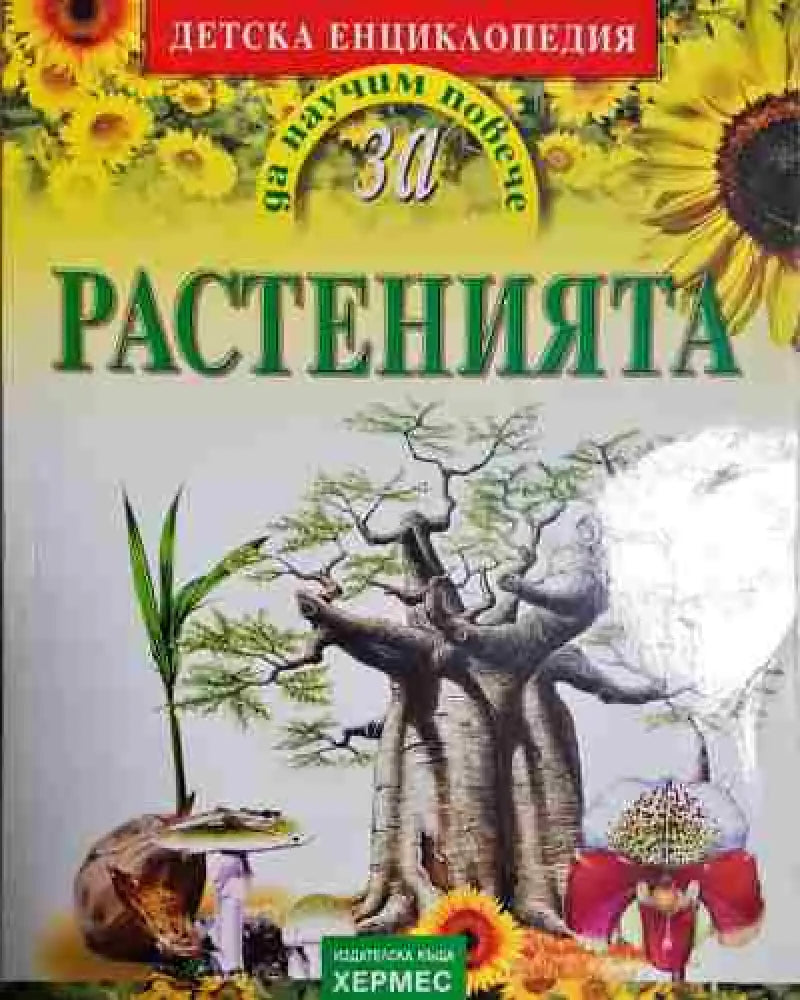 Растенията. Детска енциклопедия - Книга
