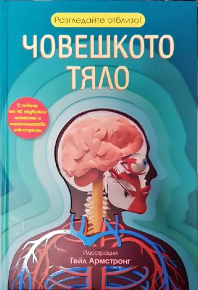Разгледайте отблизо! Човешкото тяло - Книги