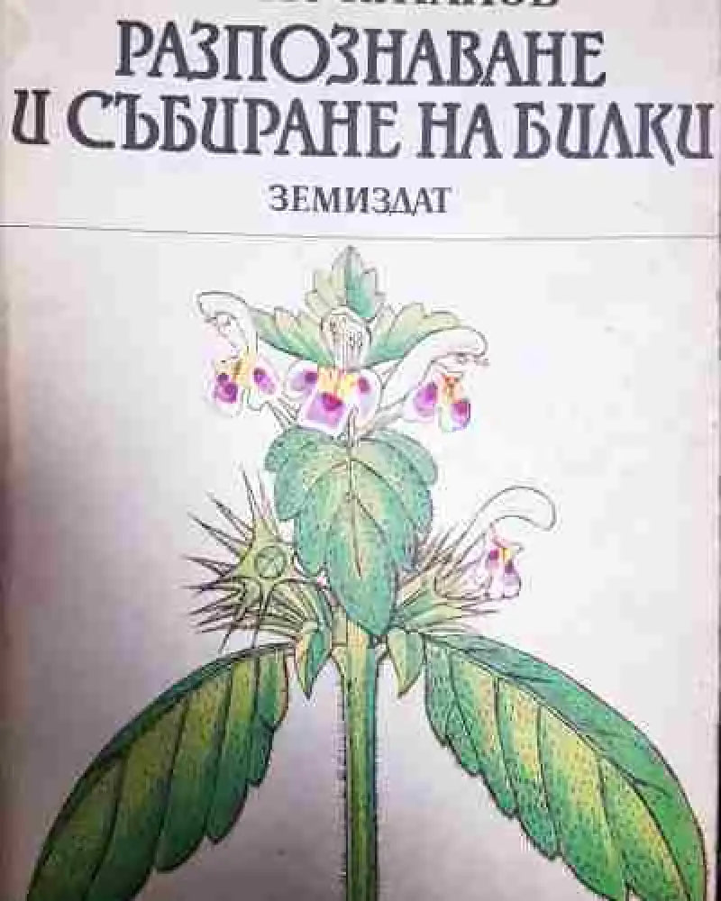Разпознаване и събиране на билки - Борис Китанов - Книга
