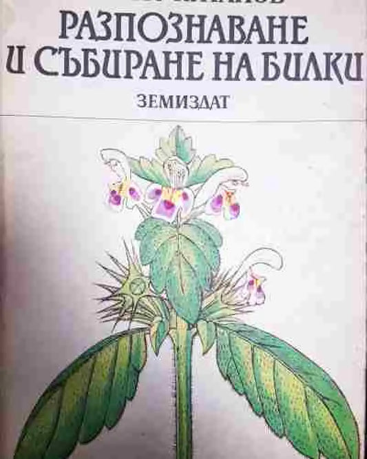Разпознаване и събиране на билки - Борис Китанов - Книга