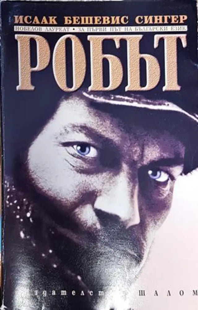 Робът - Книги