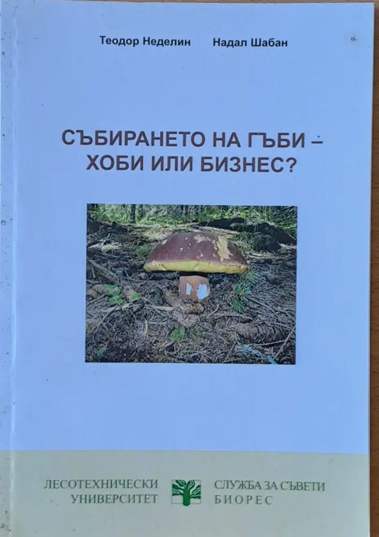 Събирането на гъби - хоби или бизнес? - Книги