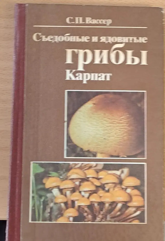 Съедобные и ядовитые грибы Карпат - Книги