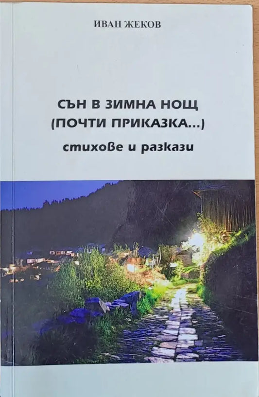 Сън в зимна нощ (почти приказка...) - Книги