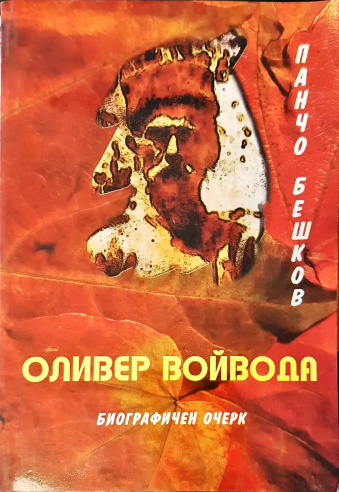 Сънят на сенките - Книги