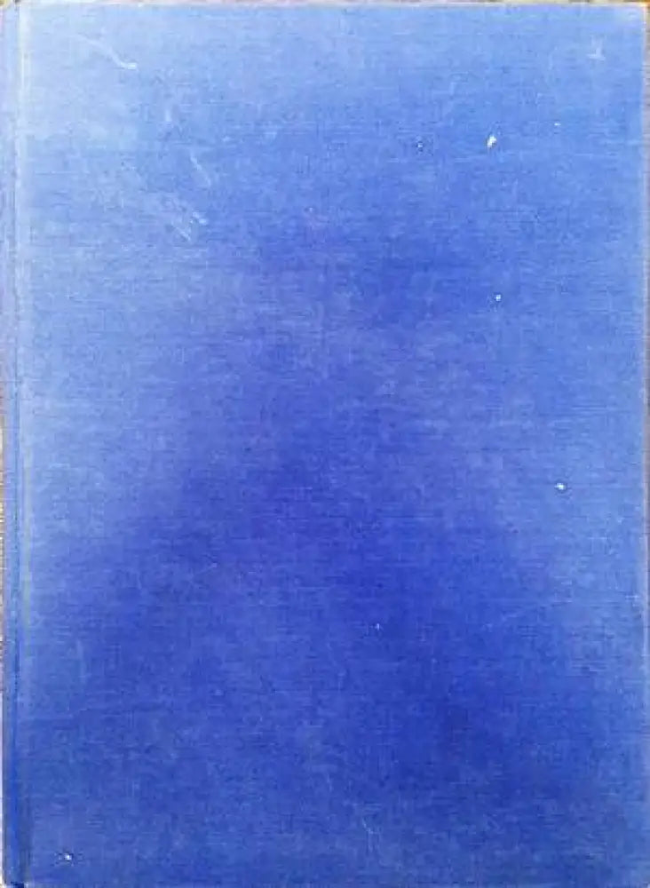 Шагал. Возвращение мастера - Книги