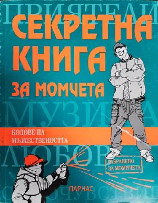Секретна книга за момчета - Книги